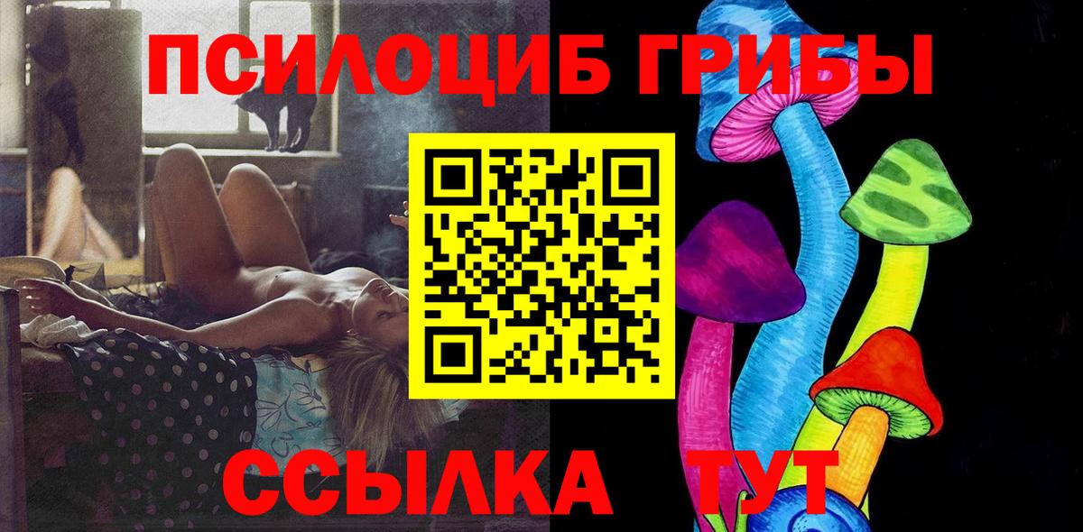 Галлюциногенные грибы Cubensis Звенигород