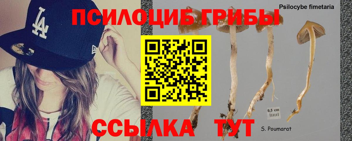 Галлюциногенные грибы MAGIC MUSHROOMS  Вход с VPN  Псилоцибиновые грибы Magic Shrooms  Звенигород 